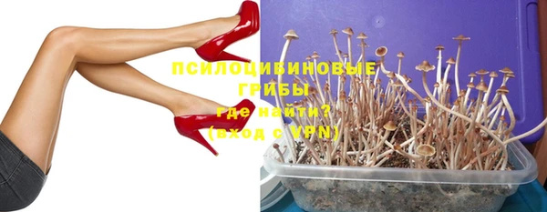 прущая мука Магадан