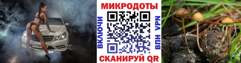 Галлюциногенные грибы Cubensis  OMG ссылки  Барыш 
